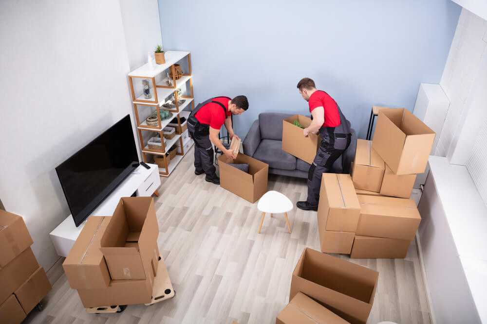 Comprehensive Moving And Storage Solutions Cassadaga