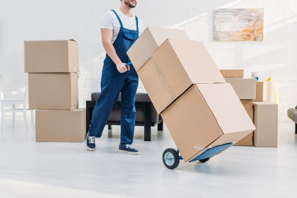 Best Movers Alafaya