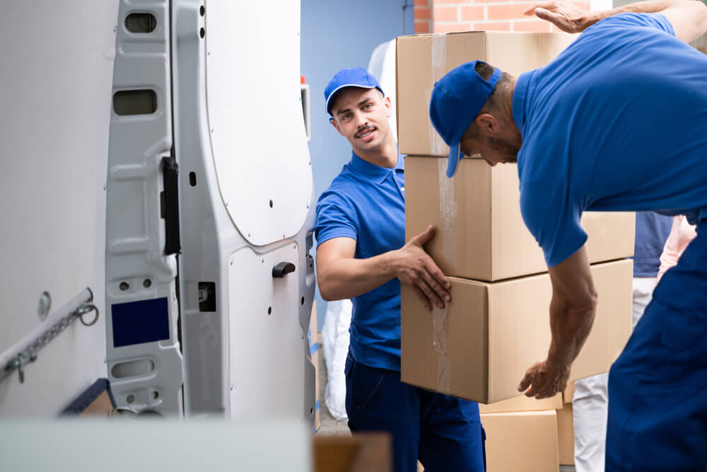 Experienced Moving Team